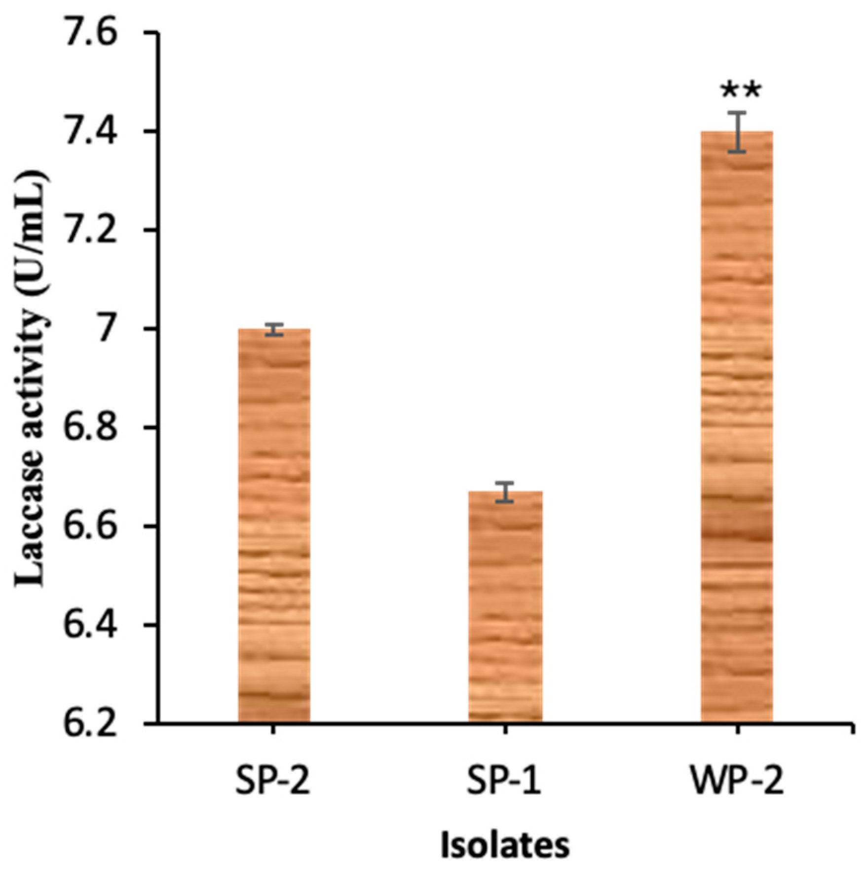 Applsci 15 05144 g001