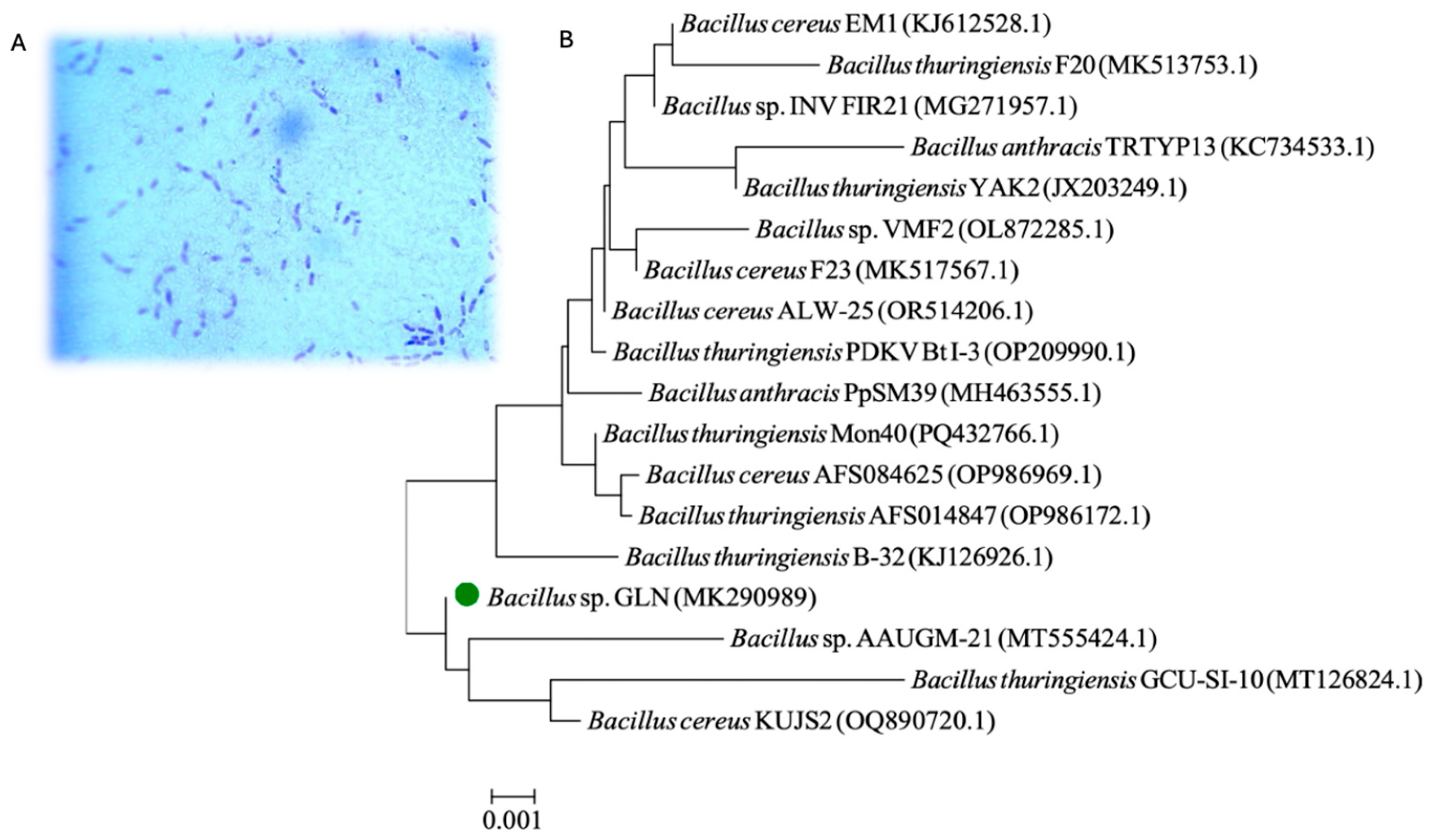 Applsci 15 05144 g002