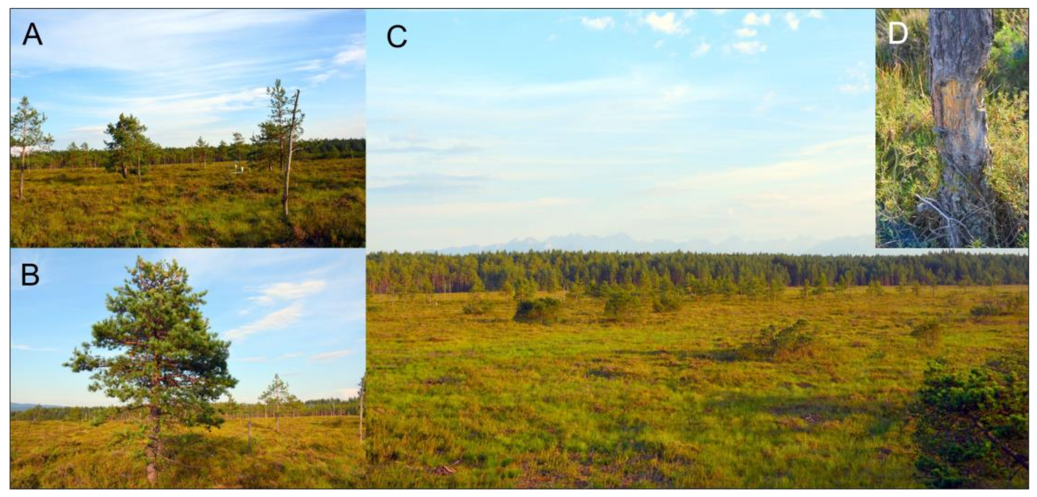 Applsci 15 05172 g003