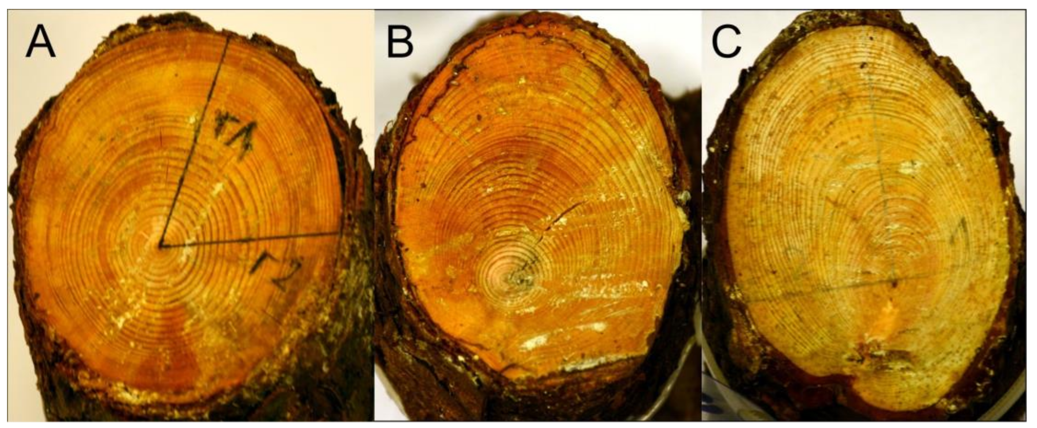 Applsci 15 05172 g007