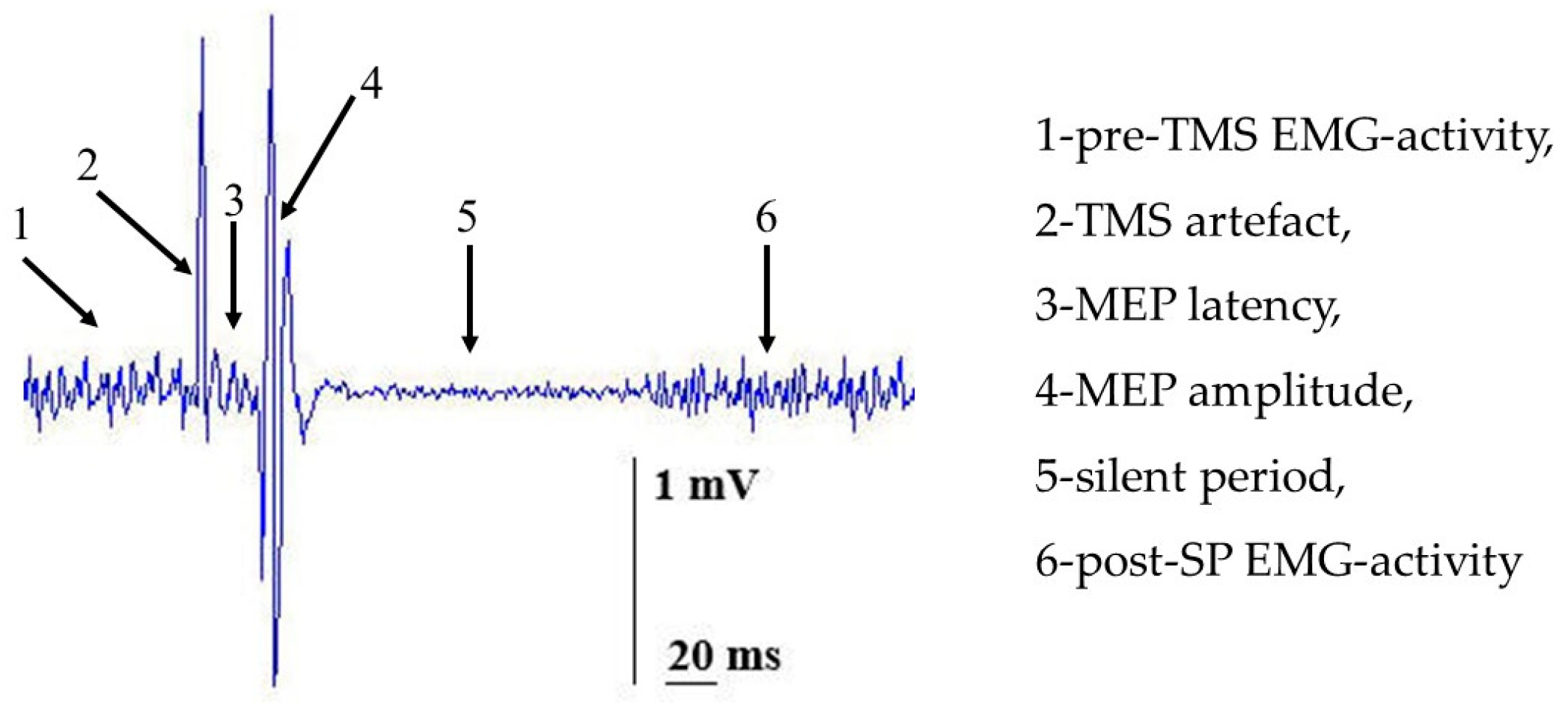 Applsci 15 05236 g002