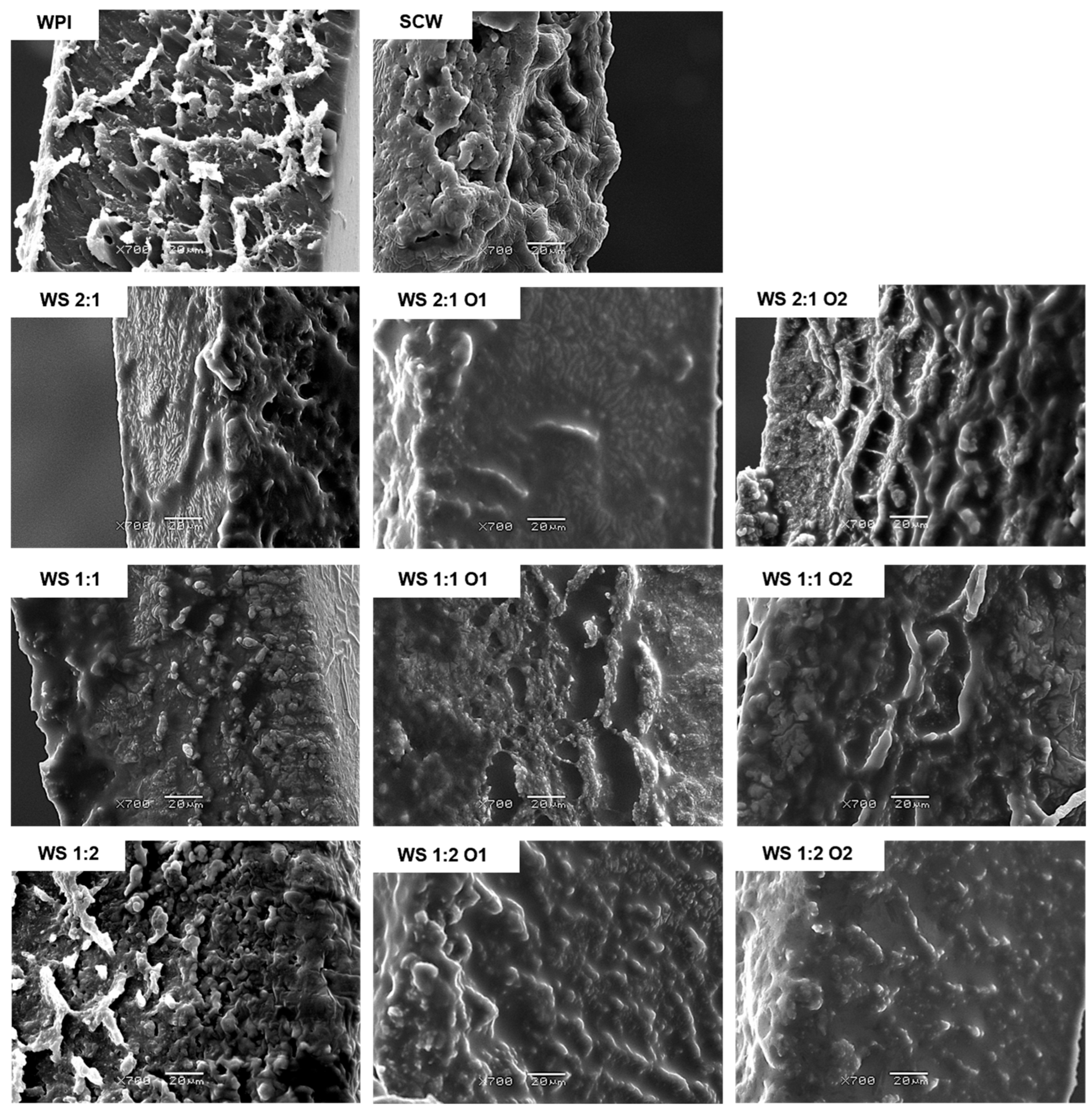 Applsci 15 05325 g006