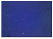 Applsci 15 05355 i029 Applsci 15 05355 i029