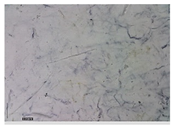 Applsci 15 05355 i030 Applsci 15 05355 i030