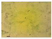 Applsci 15 05355 i034 Applsci 15 05355 i034