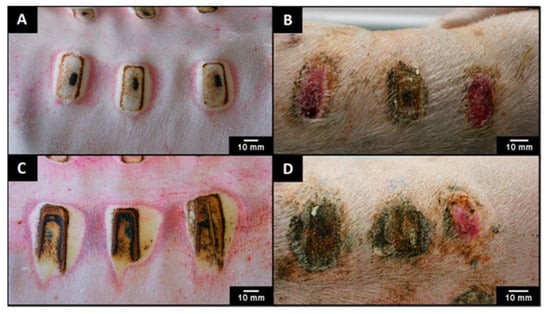 Applsci 15 05413 g006