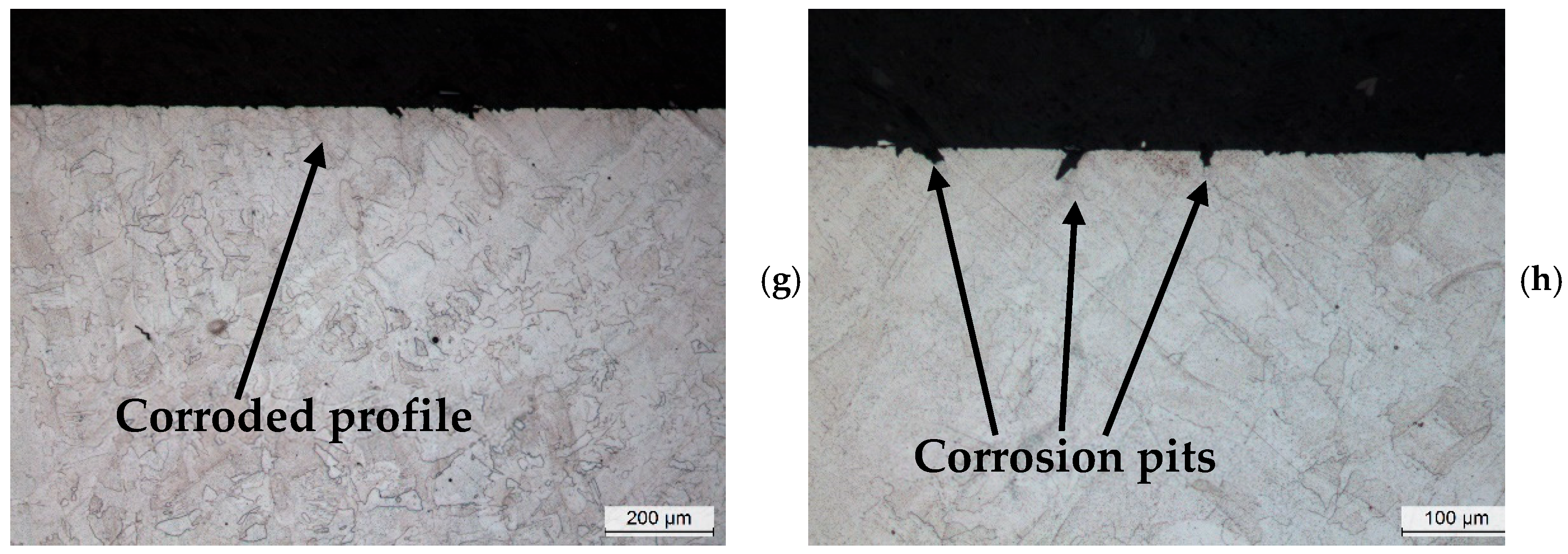 Applsci 15 05441 g011b