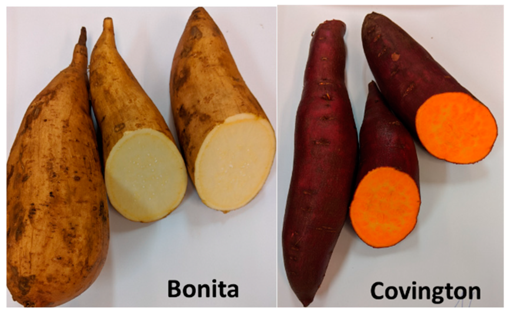 Applsci 15 05445 g001