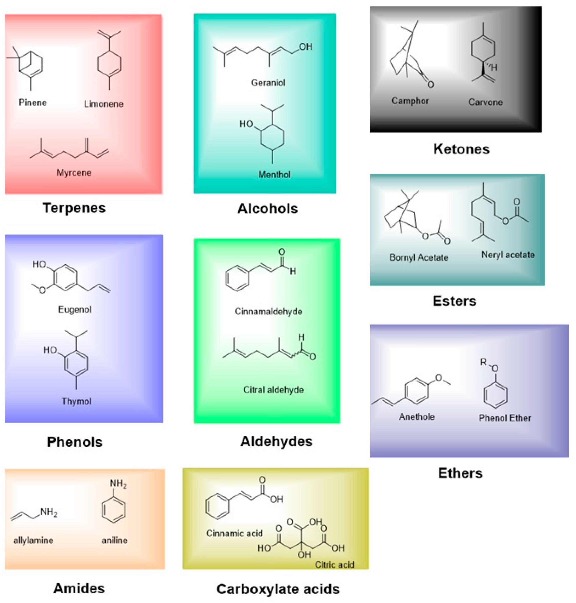 Applsci 15 05479 g003