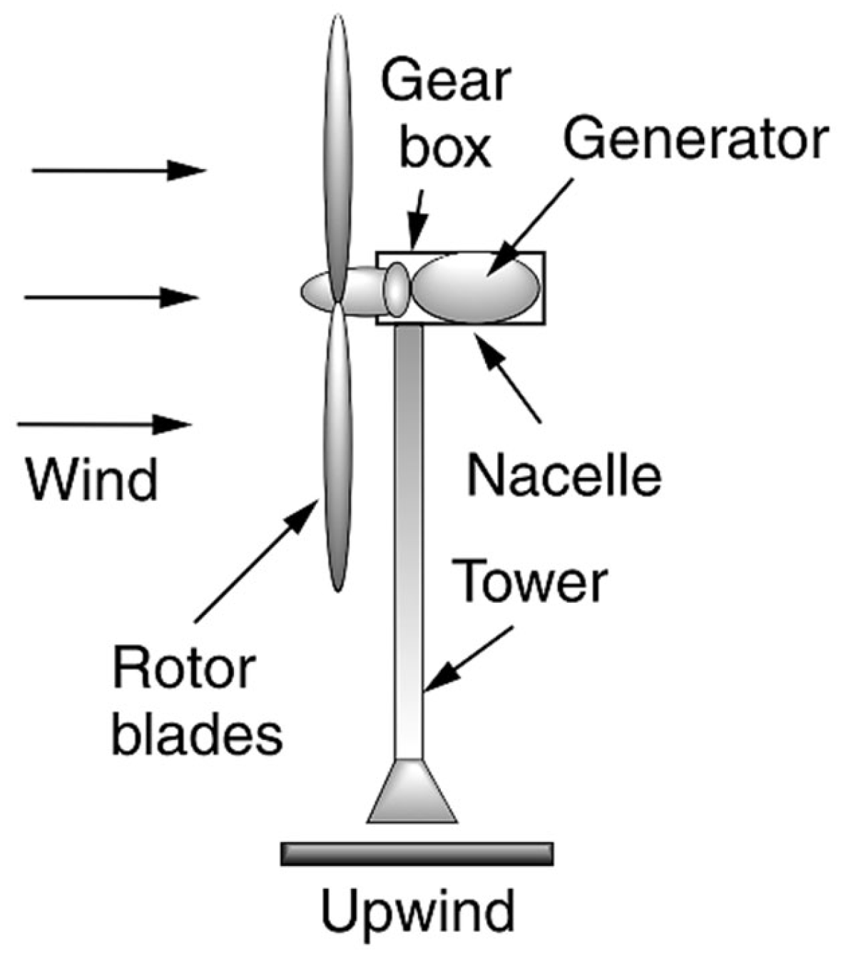 Applsci 15 05521 g001