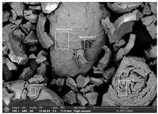 Applsci 15 05563 i001