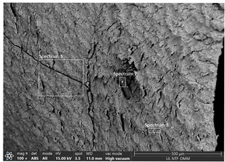 Applsci 15 05563 i004