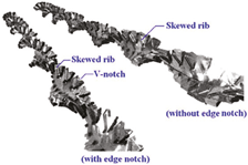 Applsci 15 05612 i011