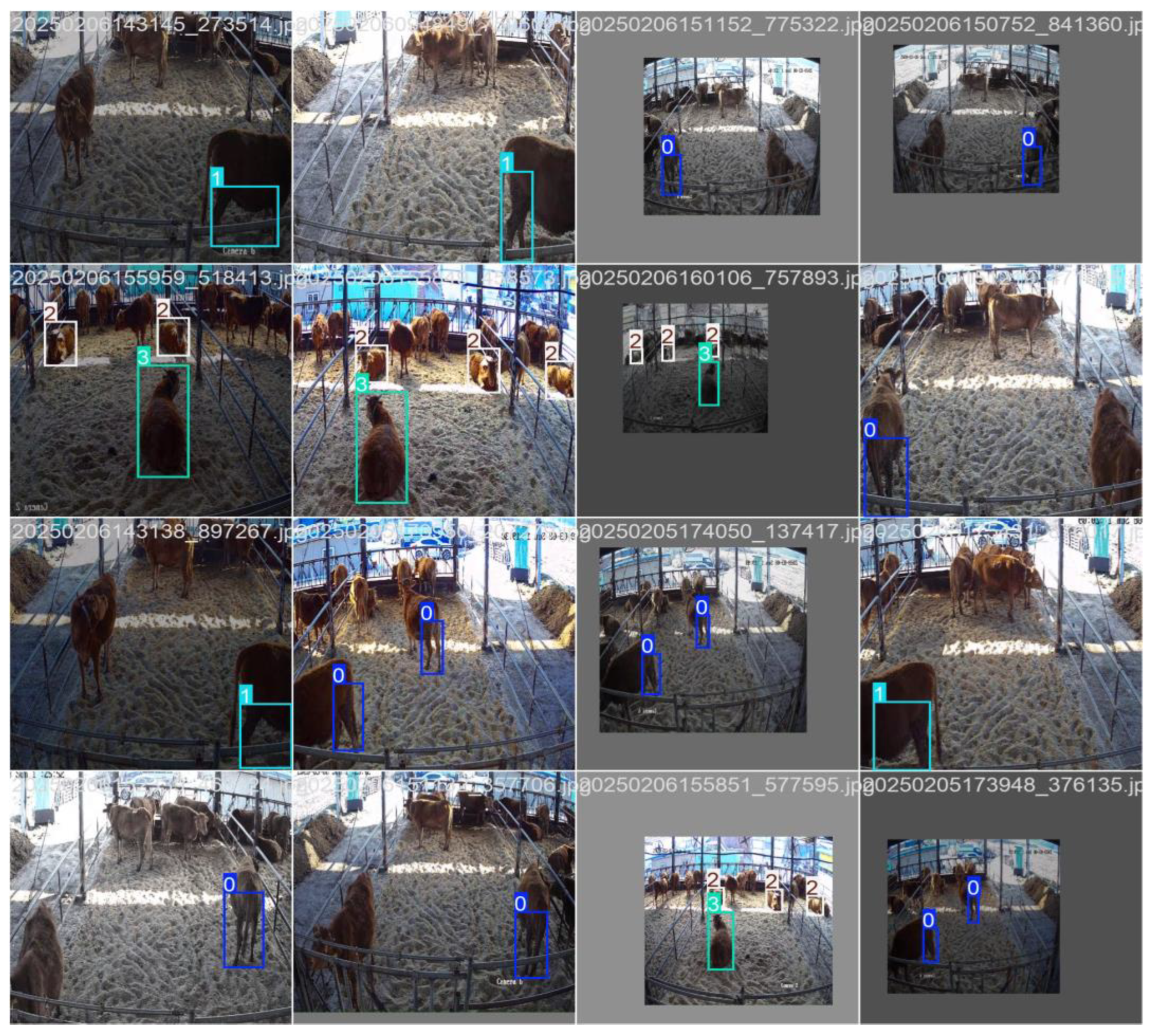 Applsci 15 05638 g016b Applsci 15 05638 g016b