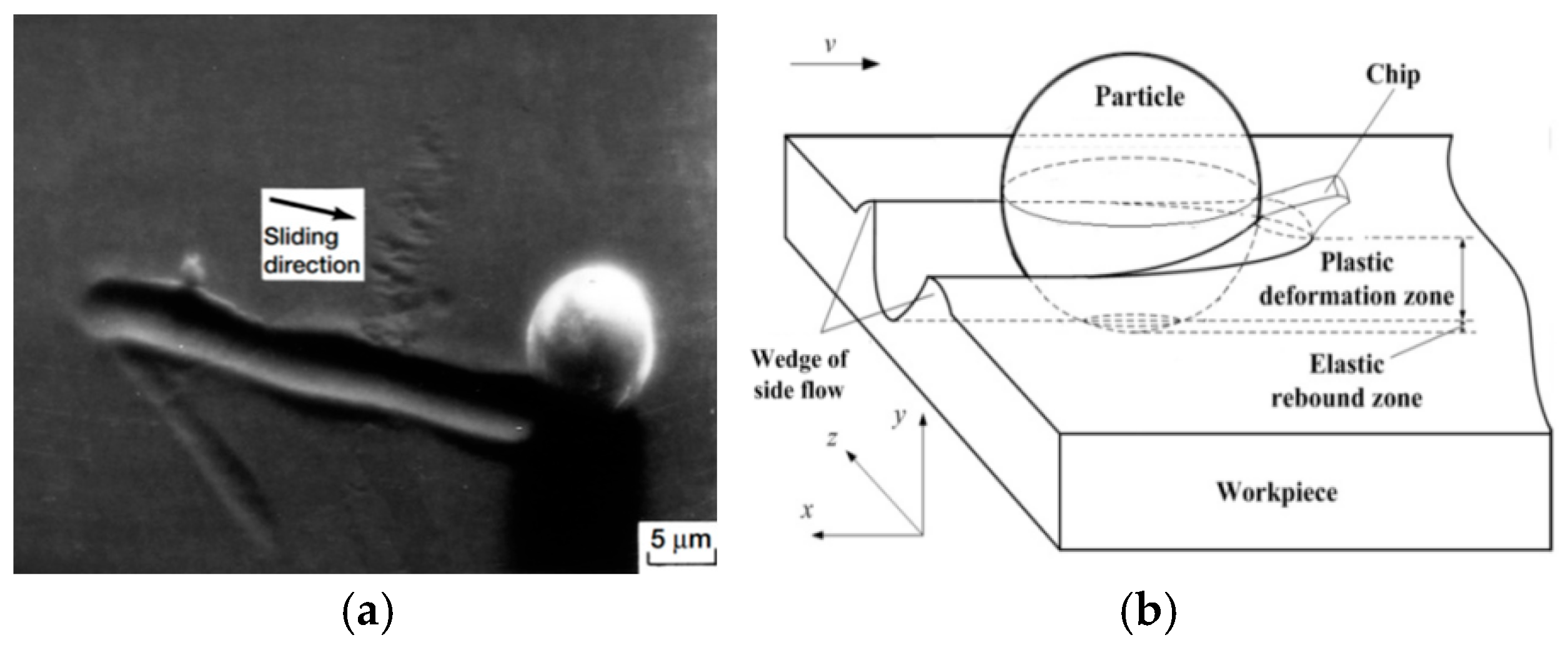 Applsci 15 05670 g001