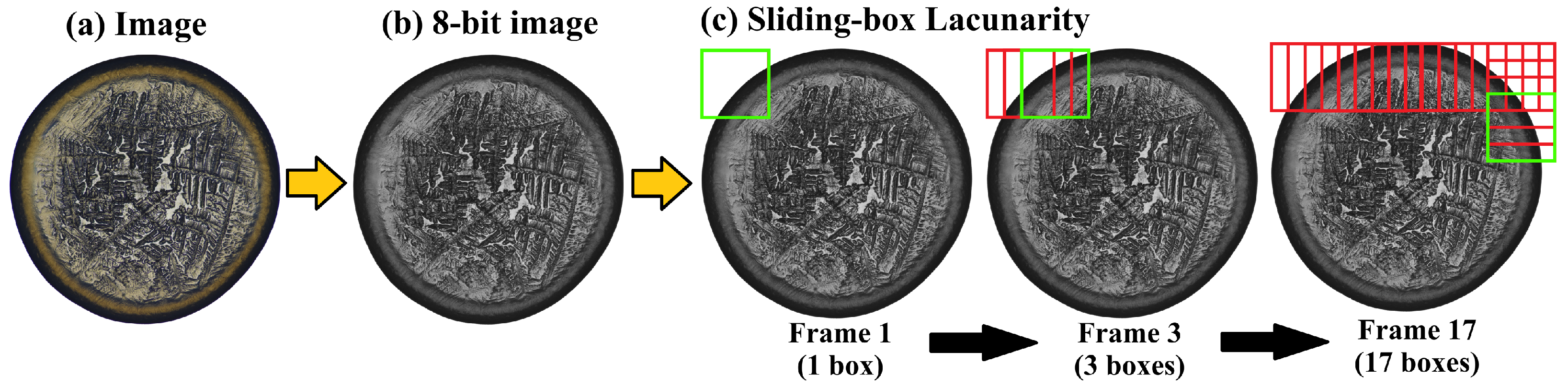 Applsci 15 05676 g001