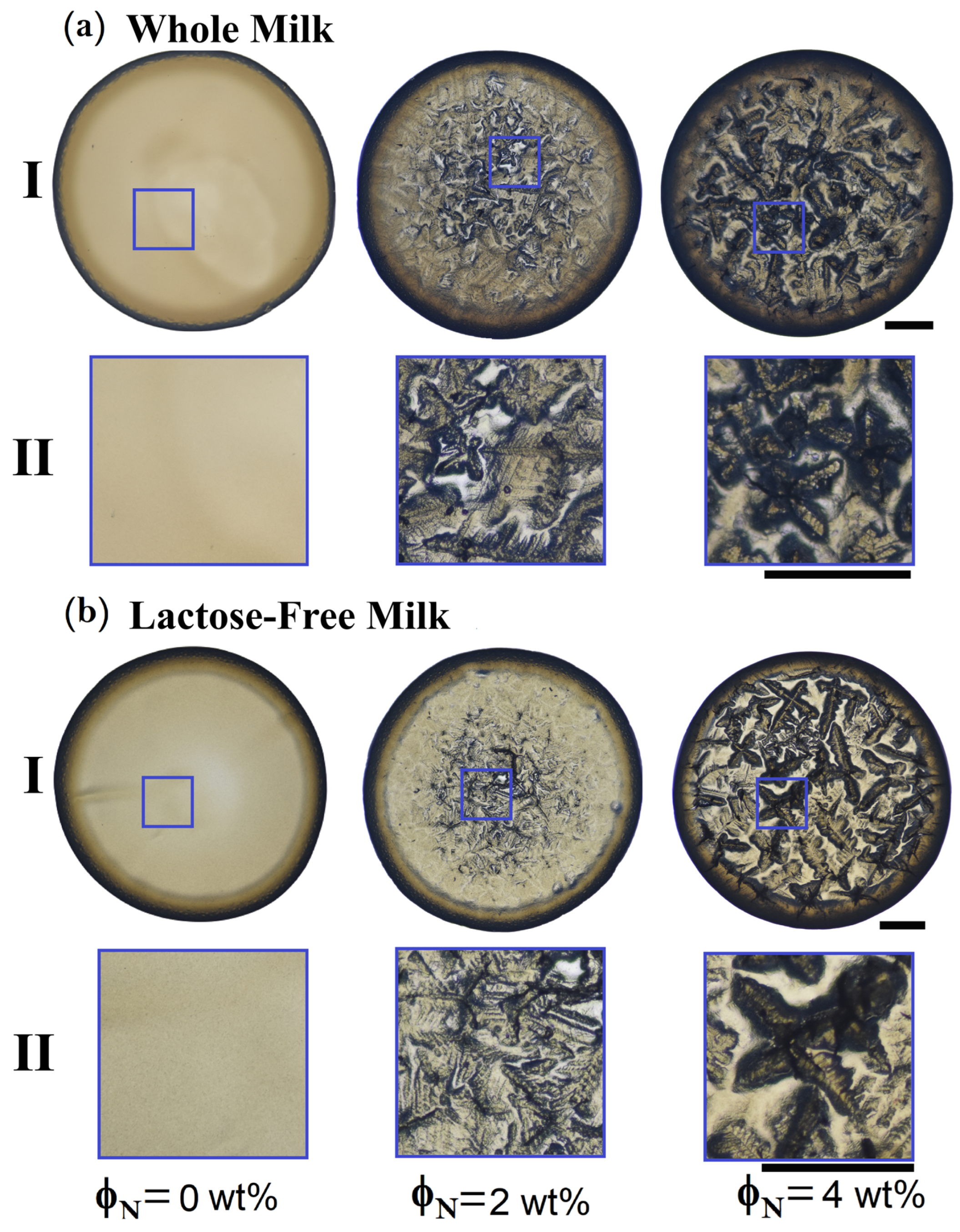 Applsci 15 05676 g002