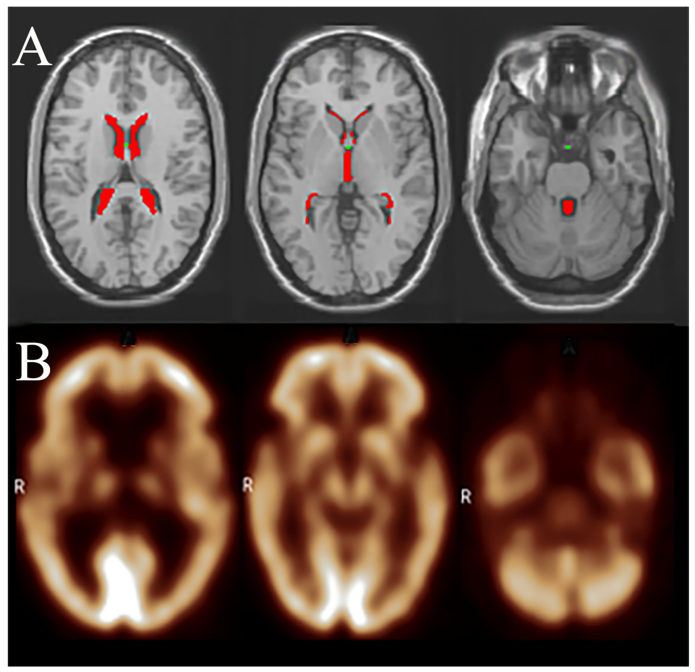 Applsci 15 05677 g001