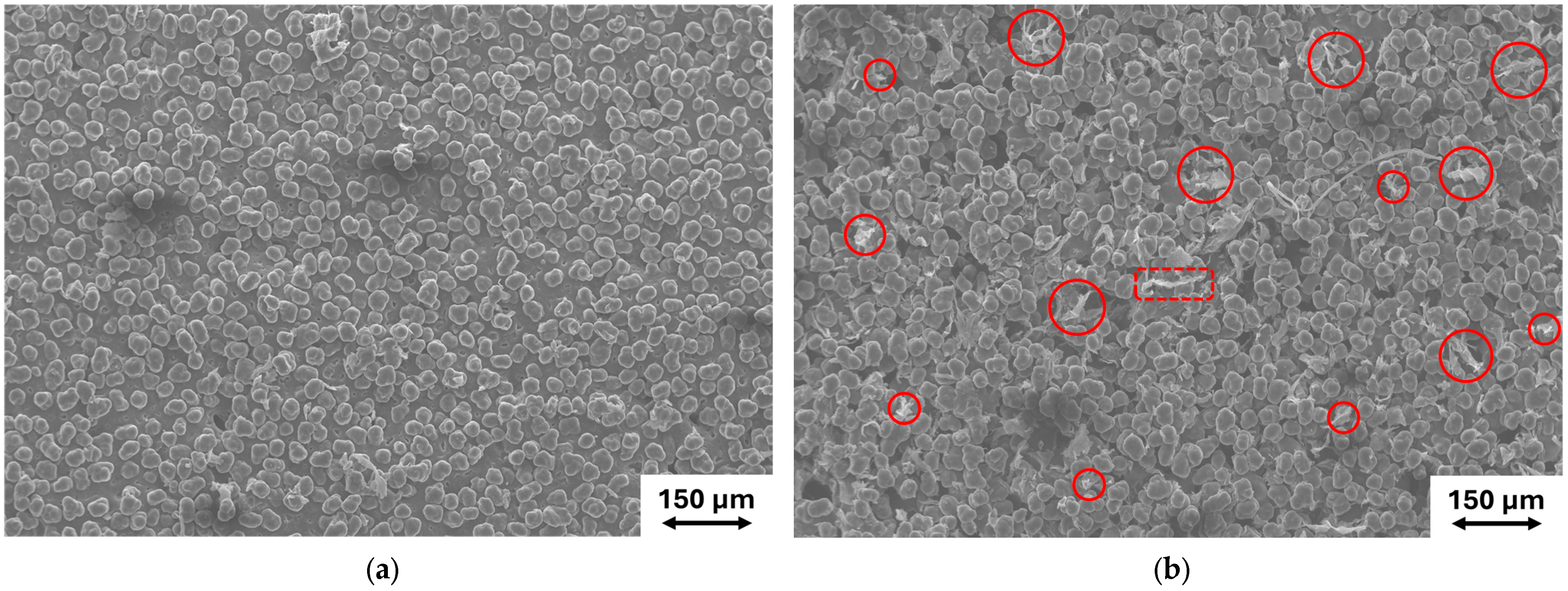 Applsci 15 05708 g011a