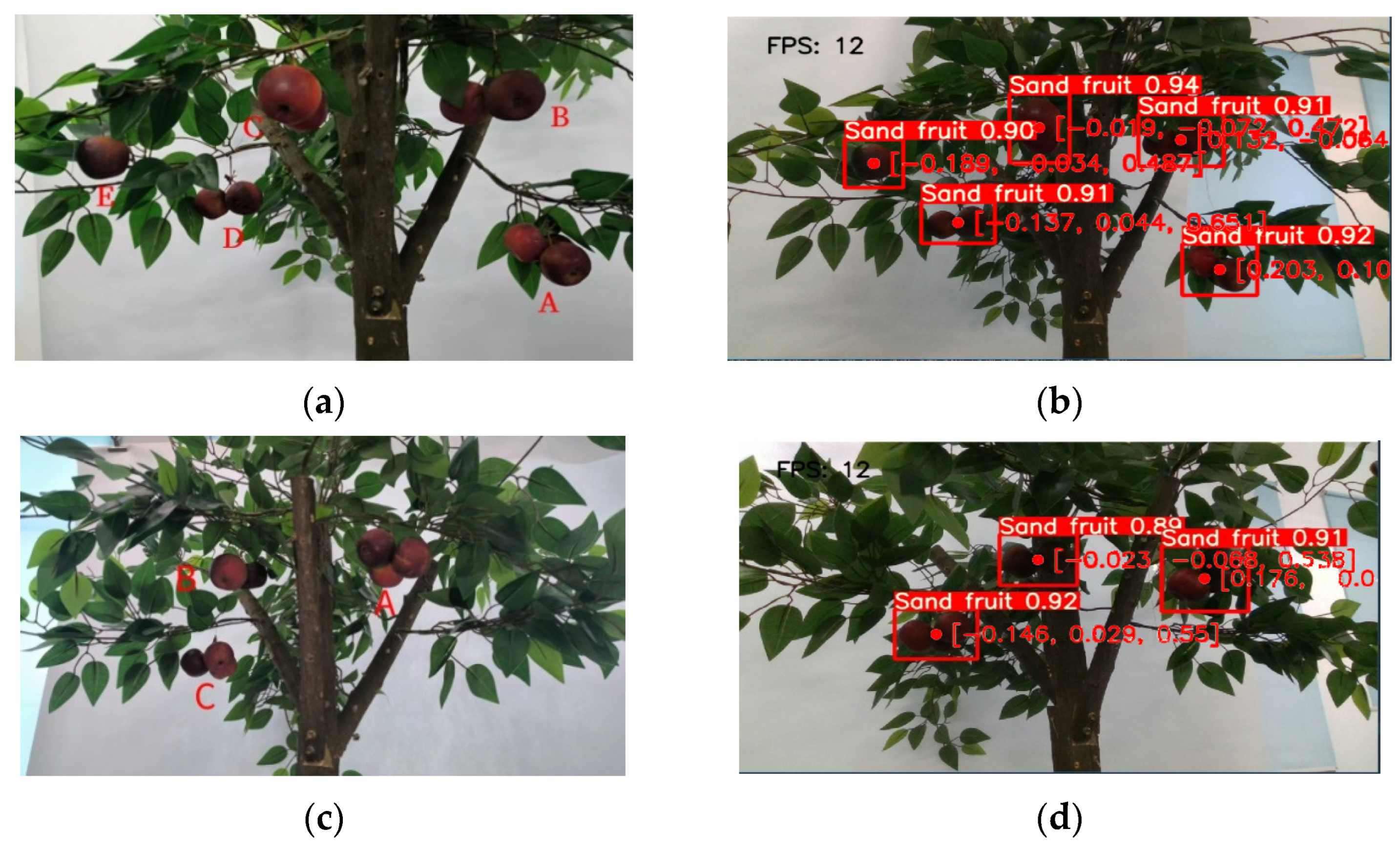 Applsci 15 05724 g014