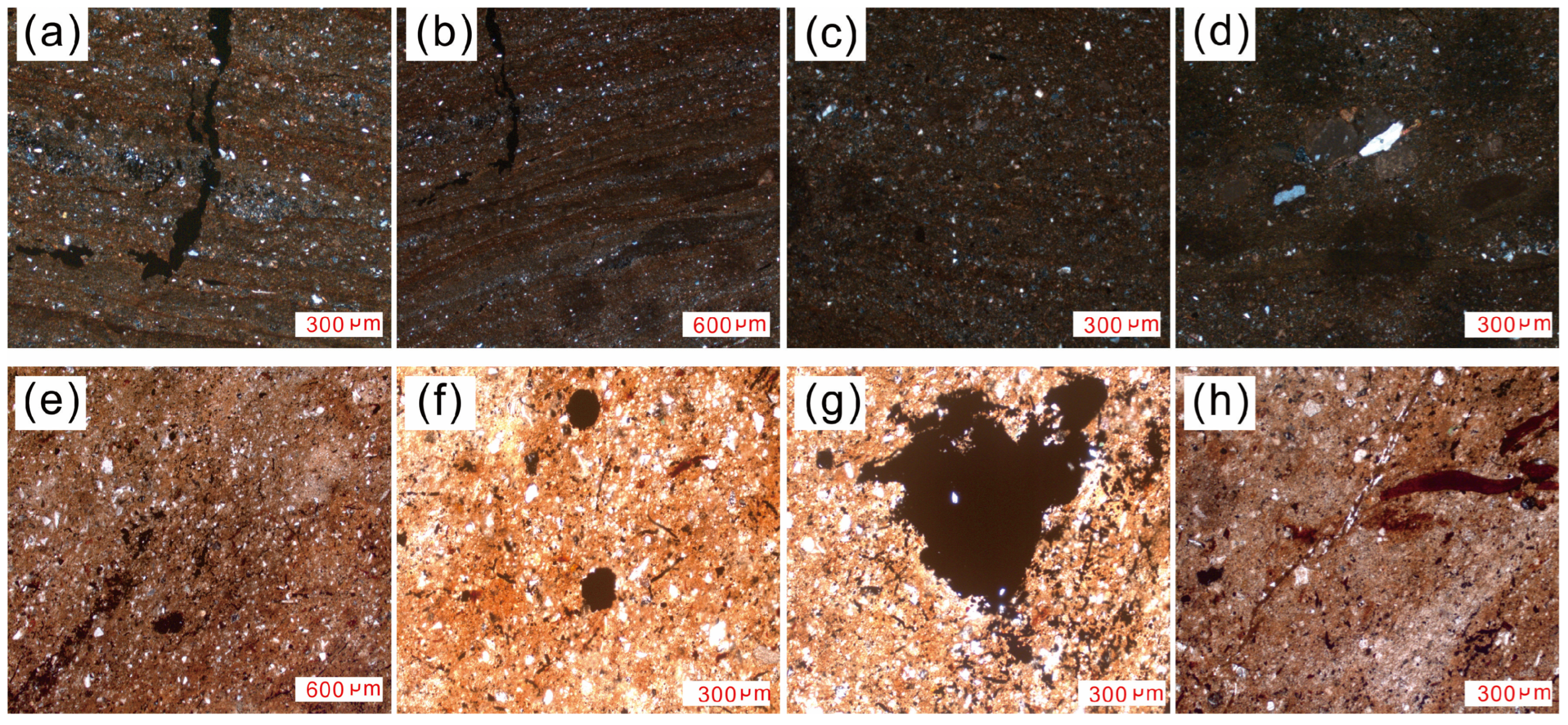 Applsci 15 05747 g008