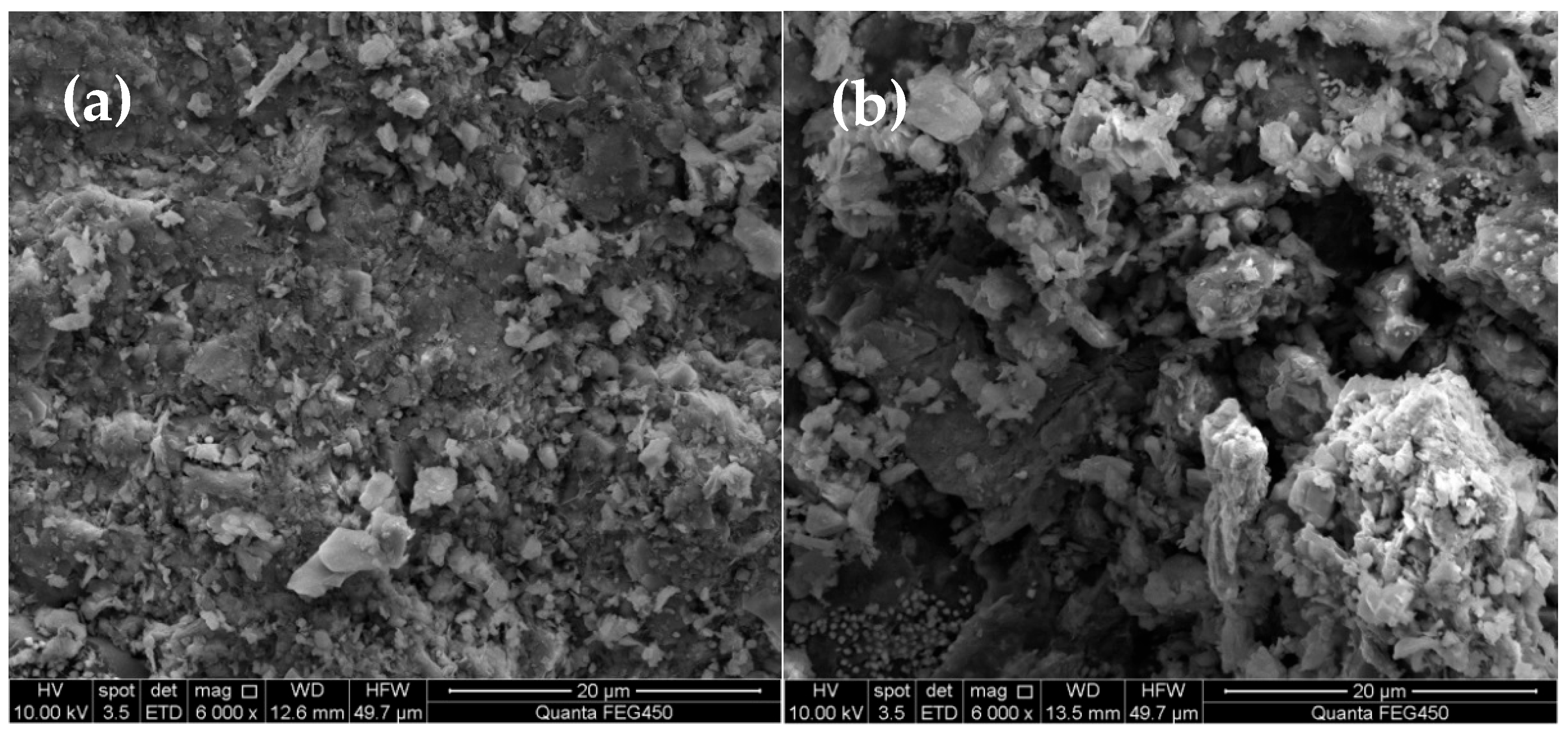 Applsci 15 05797 g006 Applsci 15 05797 g006