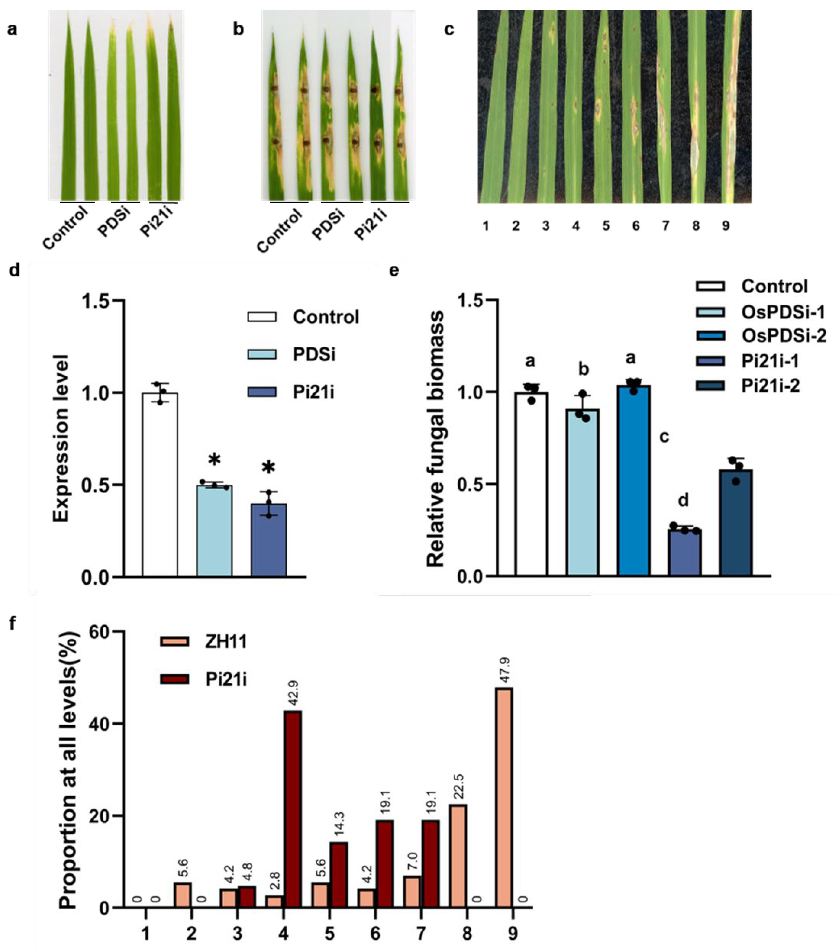 Applsci 15 05818 g002