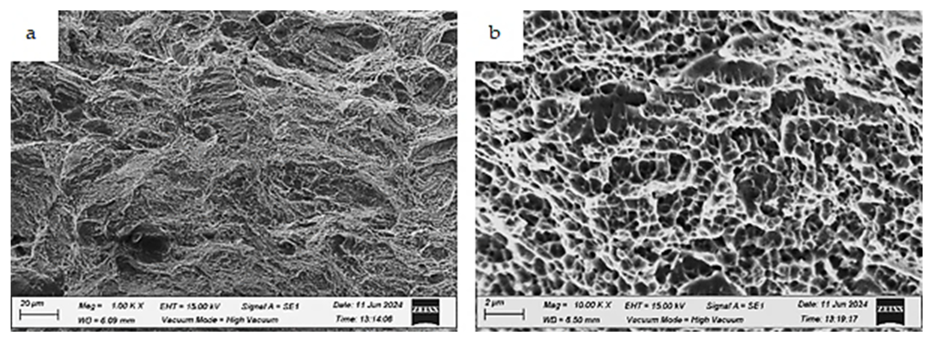 Applsci 15 05824 g020 Applsci 15 05824 g020