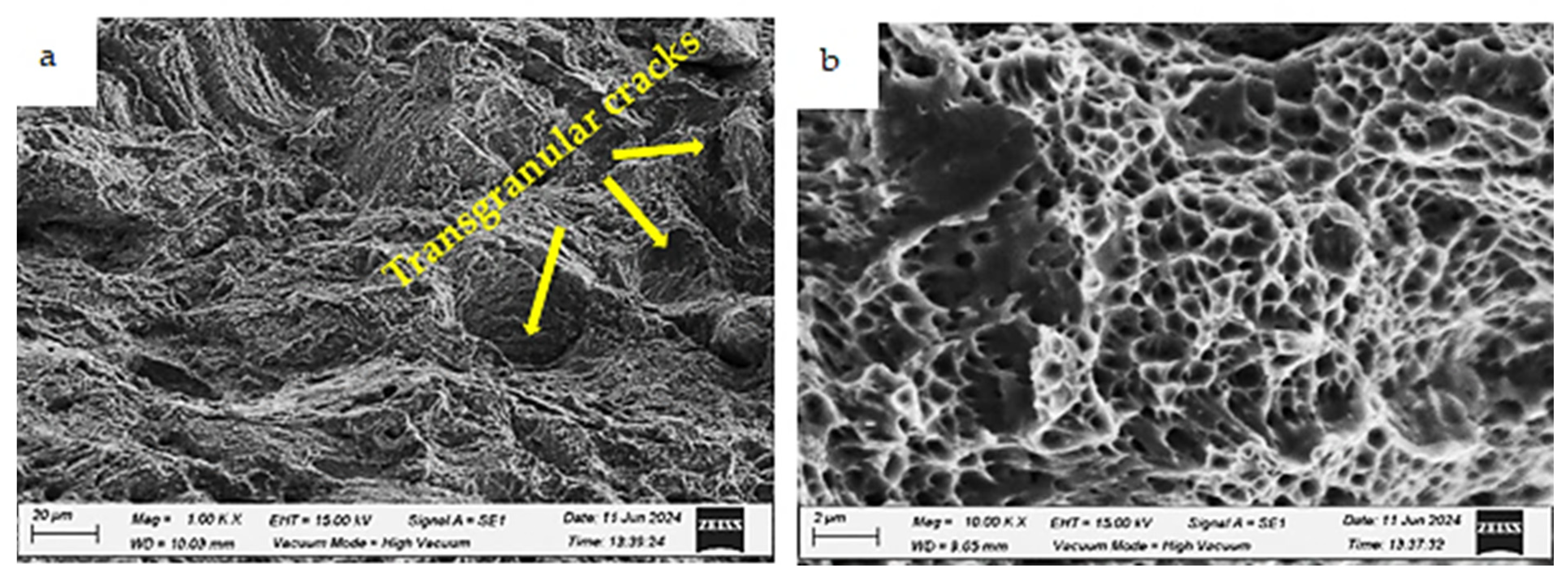Applsci 15 05824 g021 Applsci 15 05824 g021