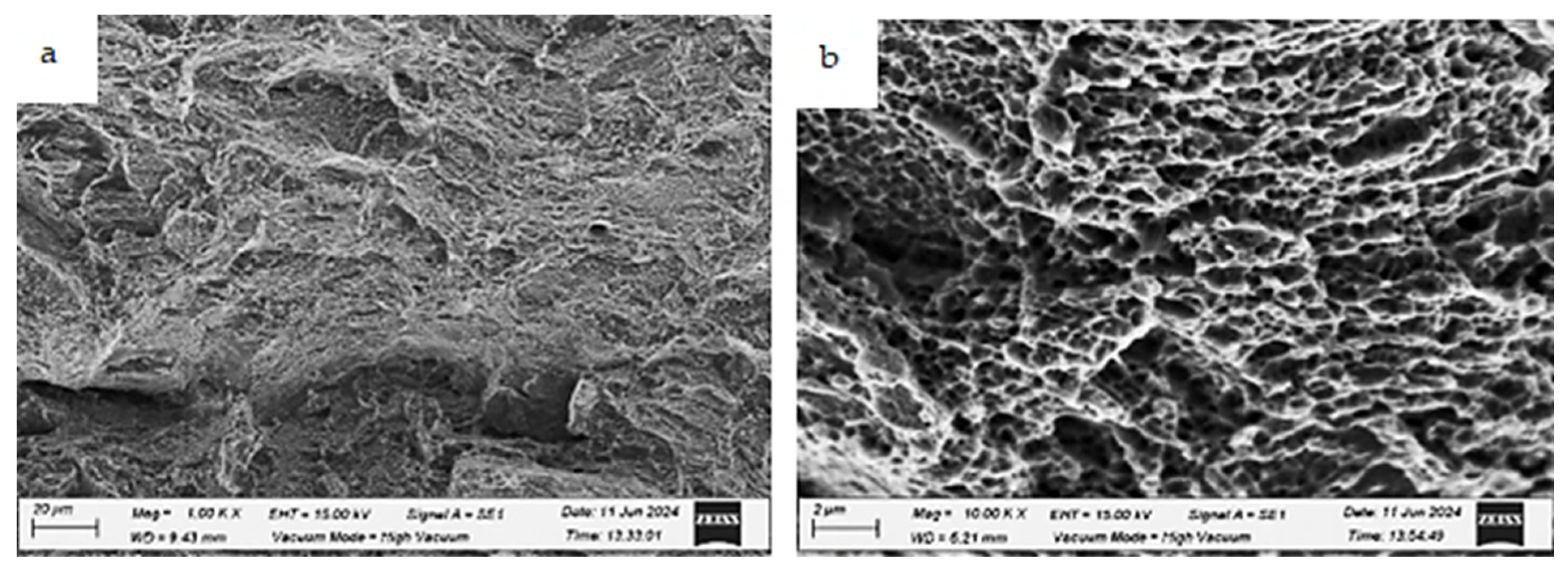 Applsci 15 05824 g023 Applsci 15 05824 g023
