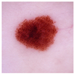 Applsci 15 05860 i001