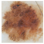 Applsci 15 05860 i002