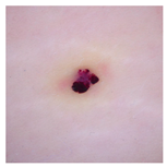 Applsci 15 05860 i003