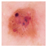 Applsci 15 05860 i004