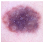 Applsci 15 05860 i005