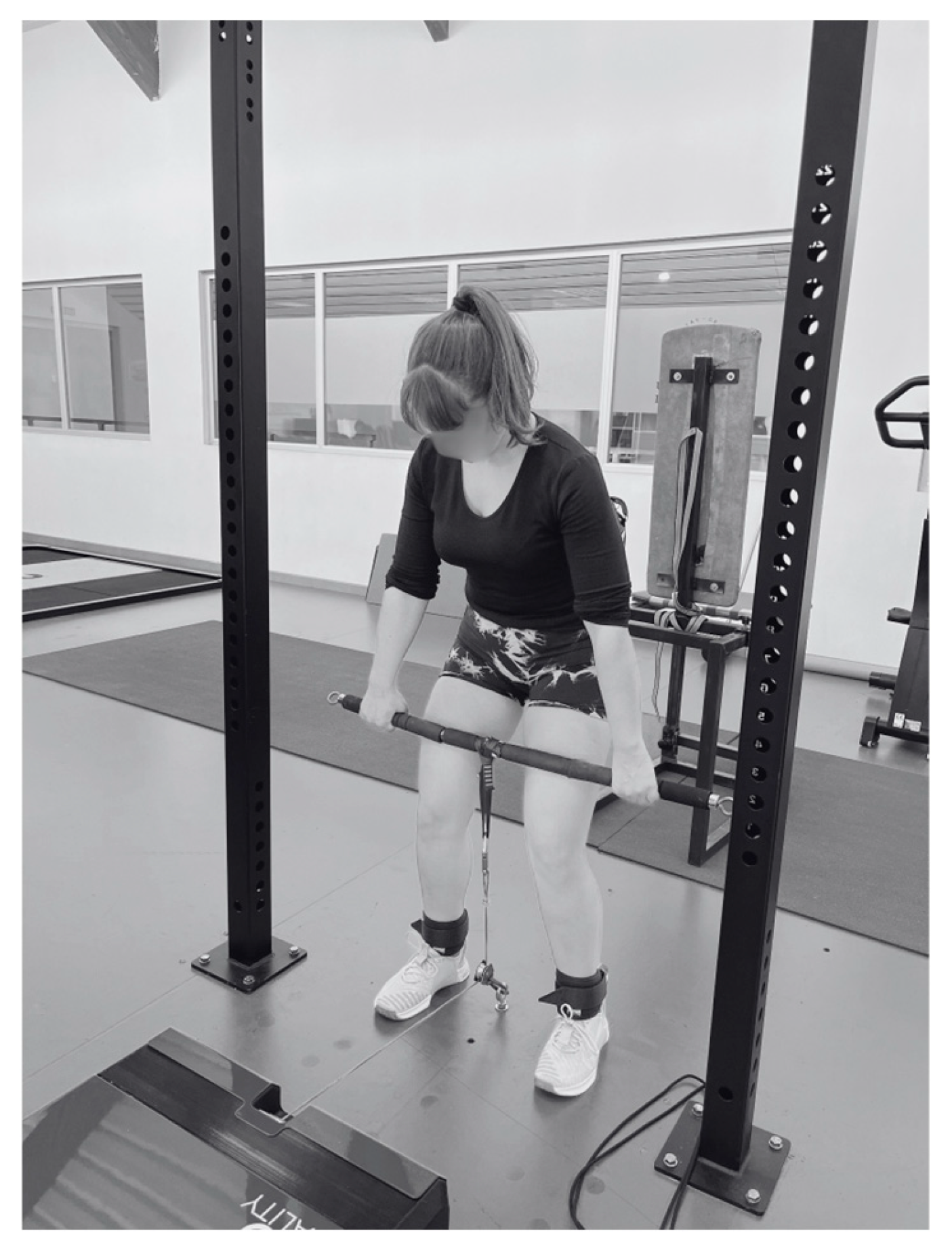 Applsci 15 05866 g002