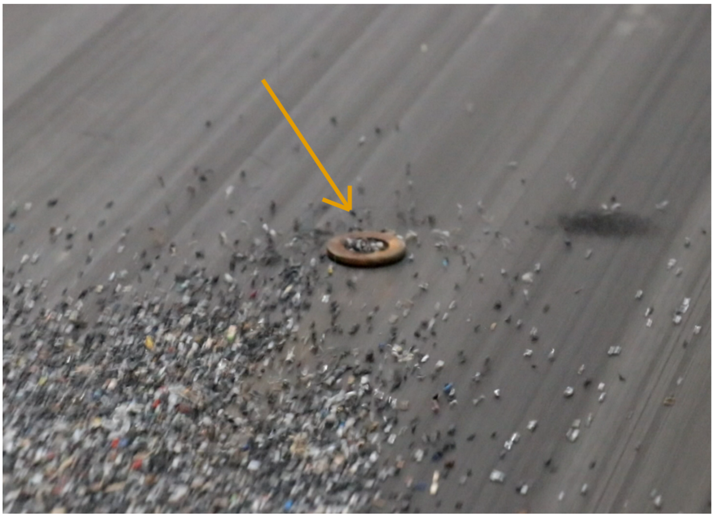 Applsci 15 05891 g002