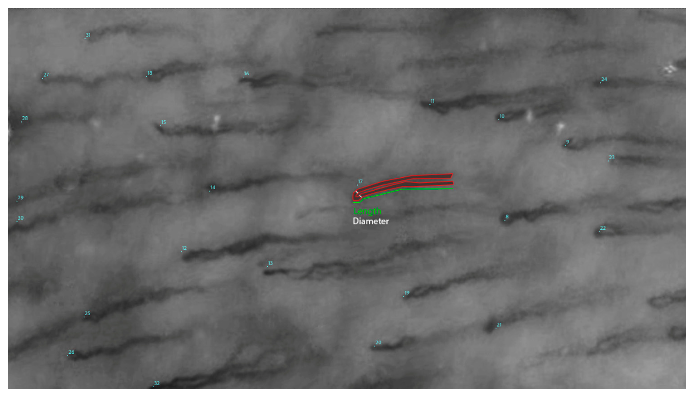 Applsci 15 05904 g002