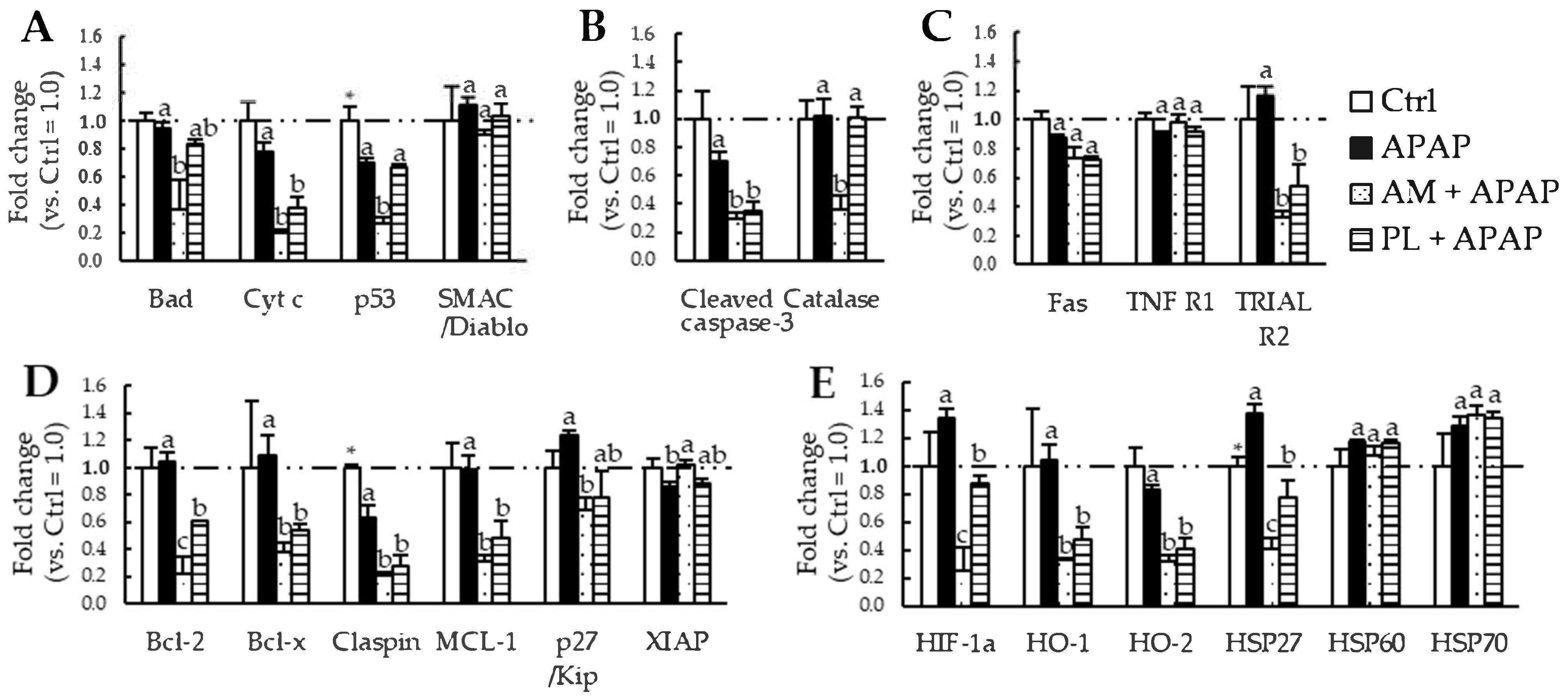 Applsci 15 05968 g001