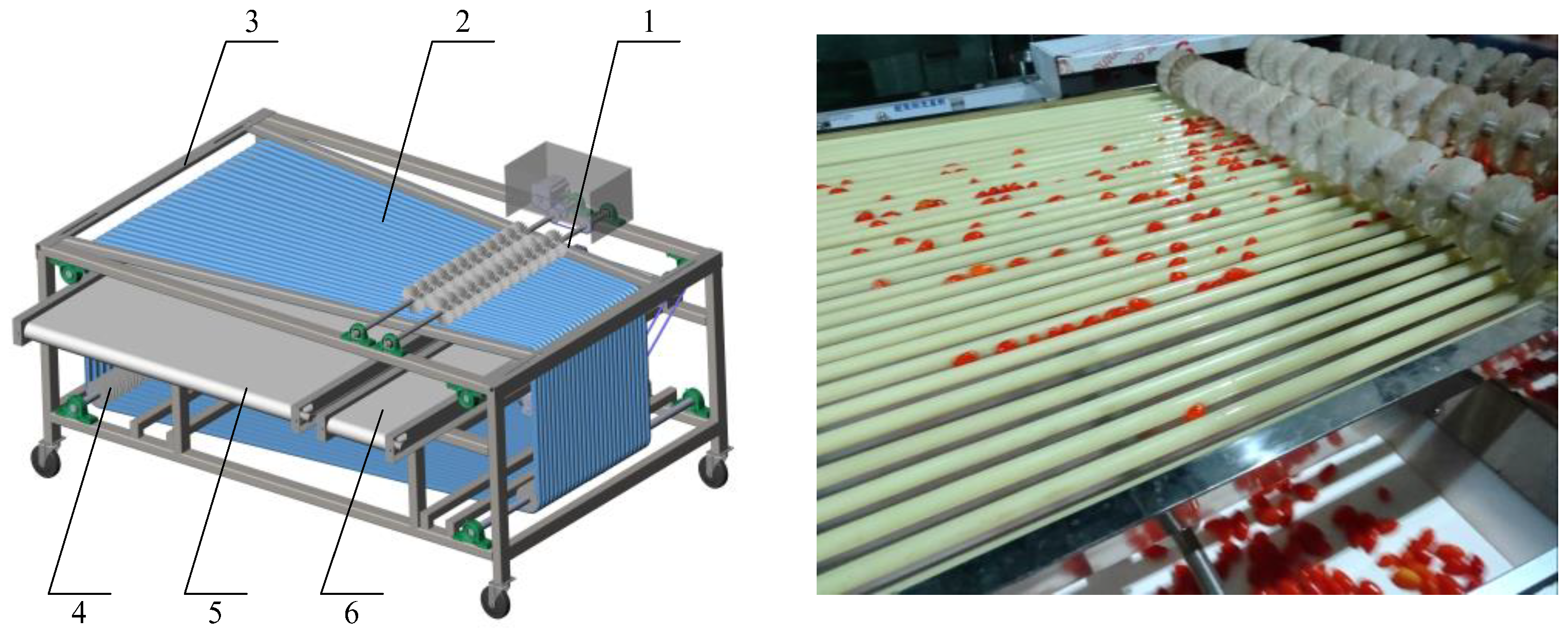 Applsci 15 06022 g001