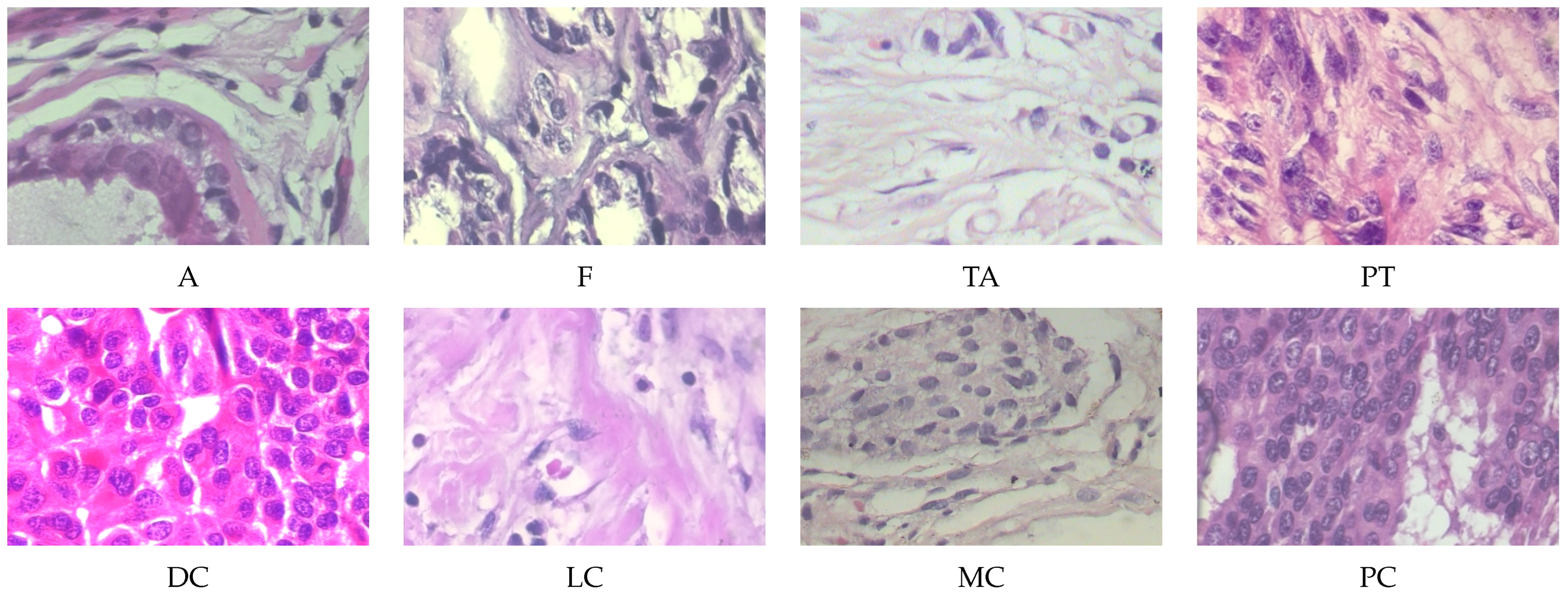Applsci 15 06085 g004 Applsci 15 06085 g004