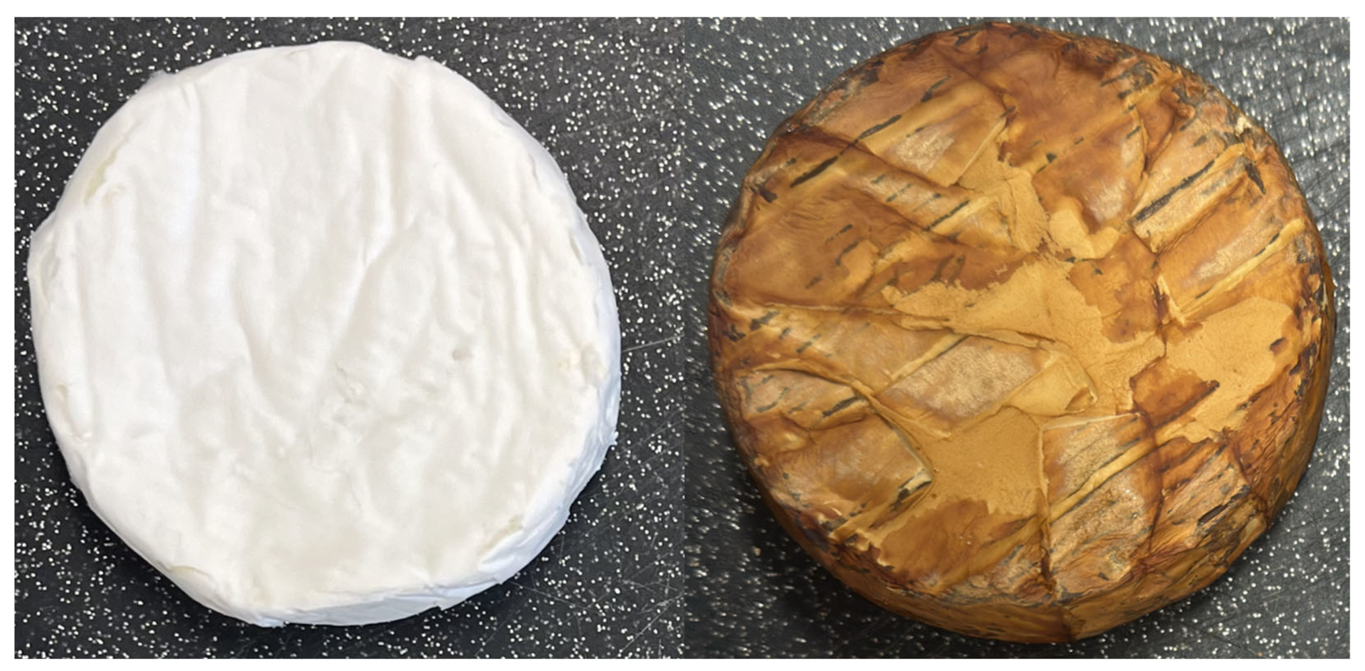 Applsci 15 06098 g009