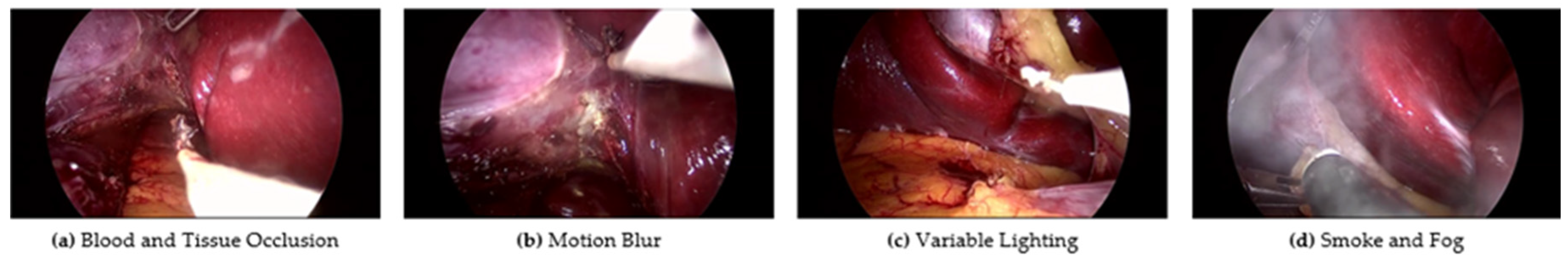 Applsci 15 06121 g001