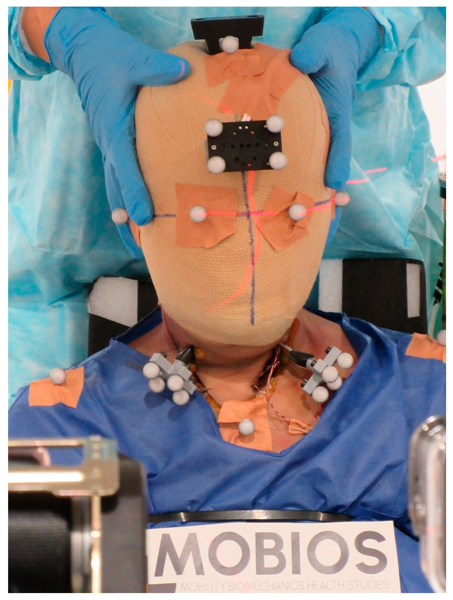 Applsci 15 06167 g002