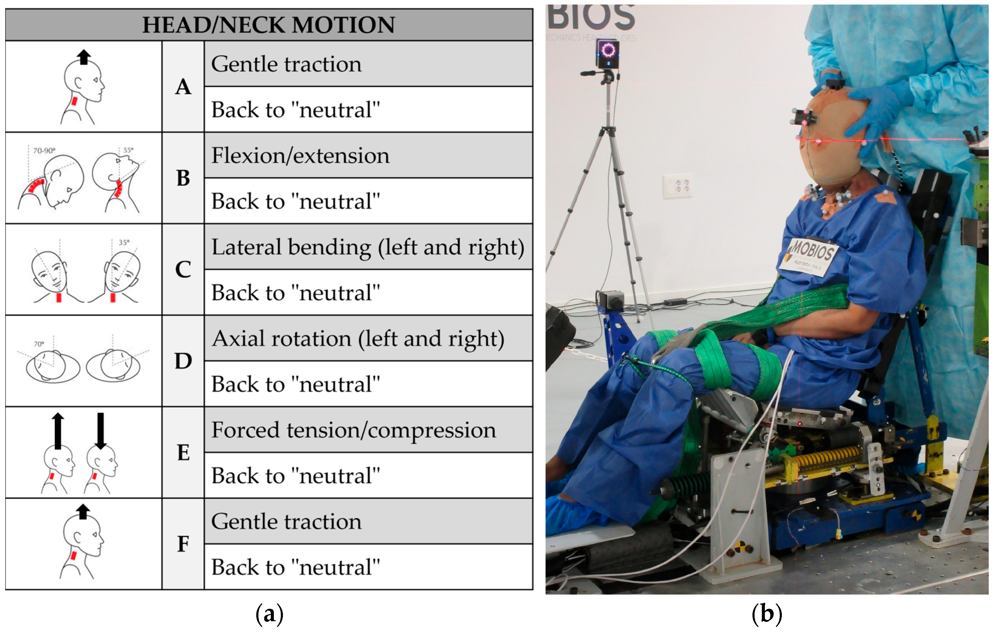 Applsci 15 06167 g003