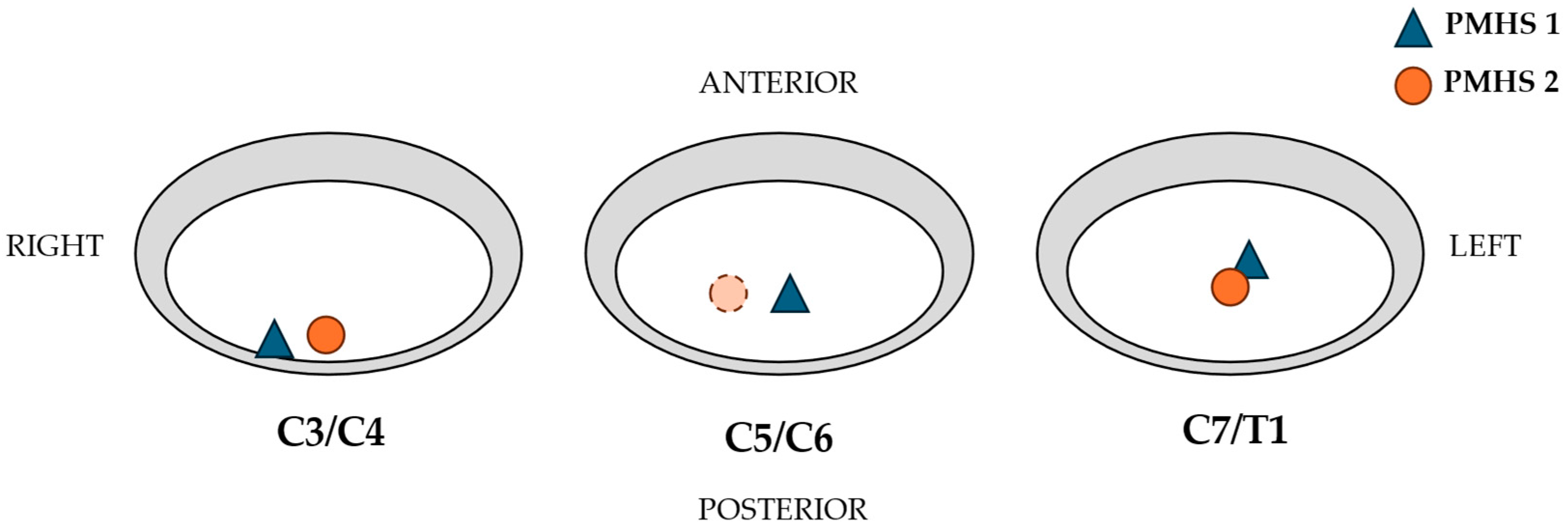 Applsci 15 06167 g006
