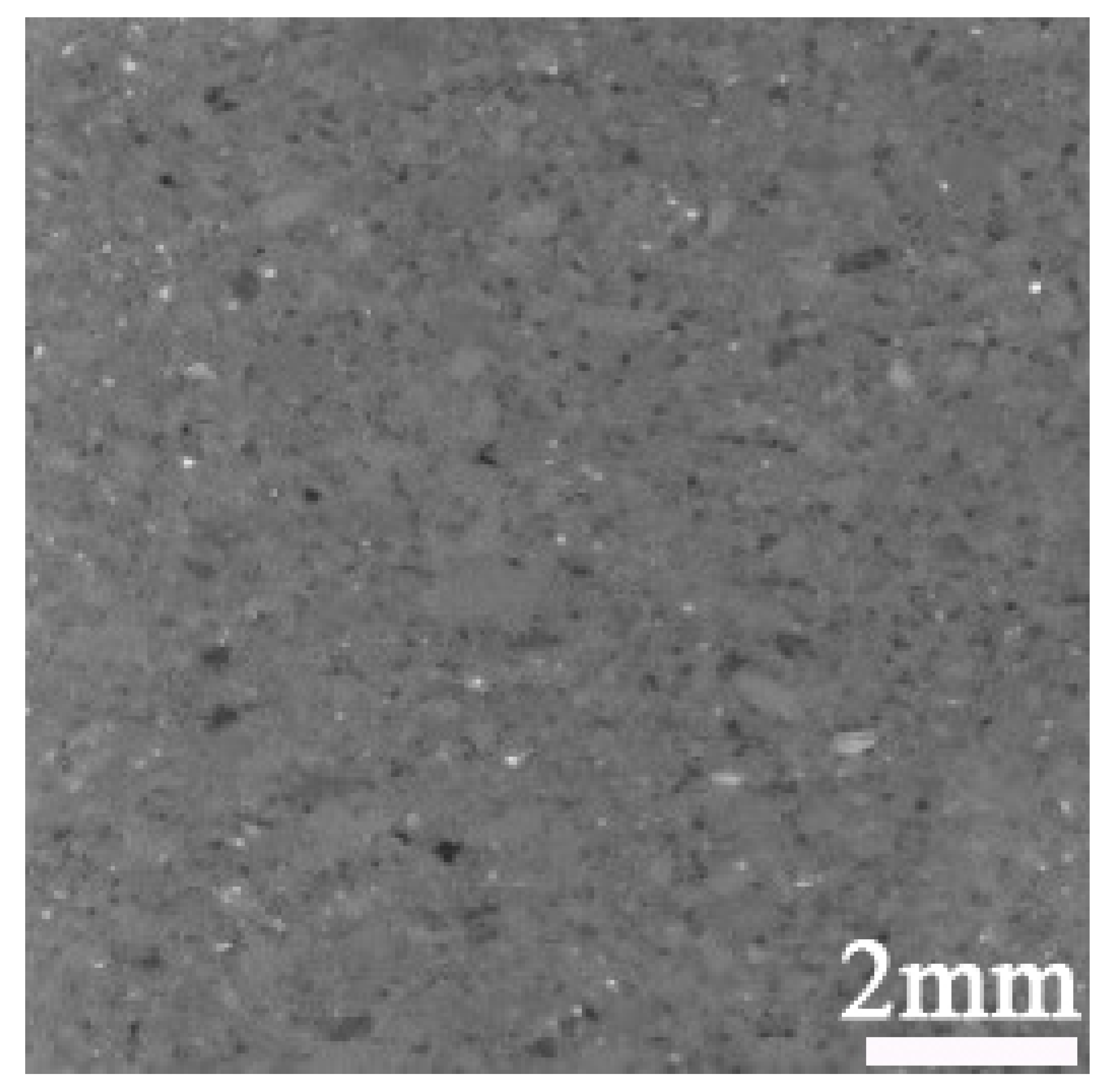 Applsci 15 06205 i002
