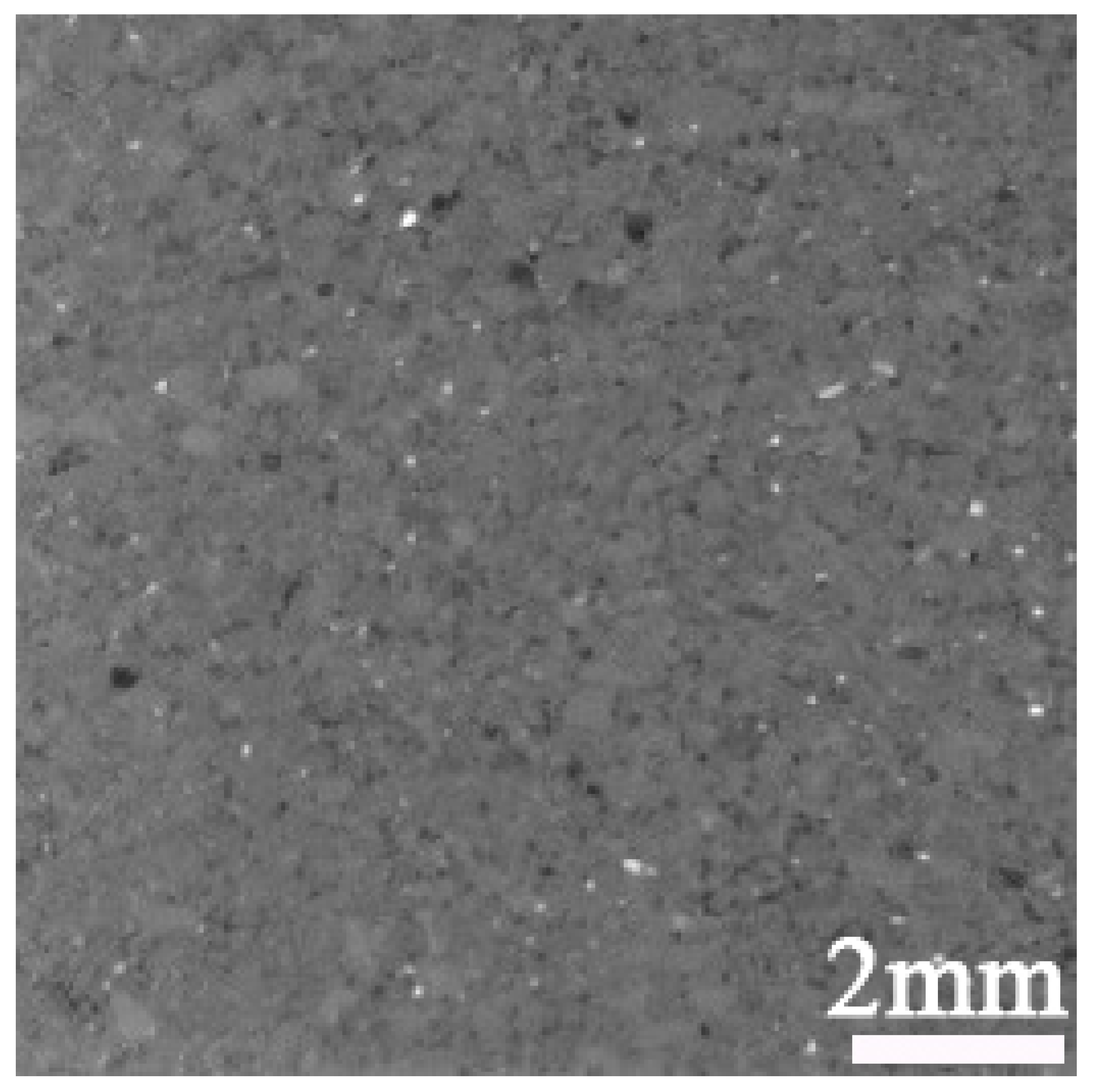 Applsci 15 06205 i003
