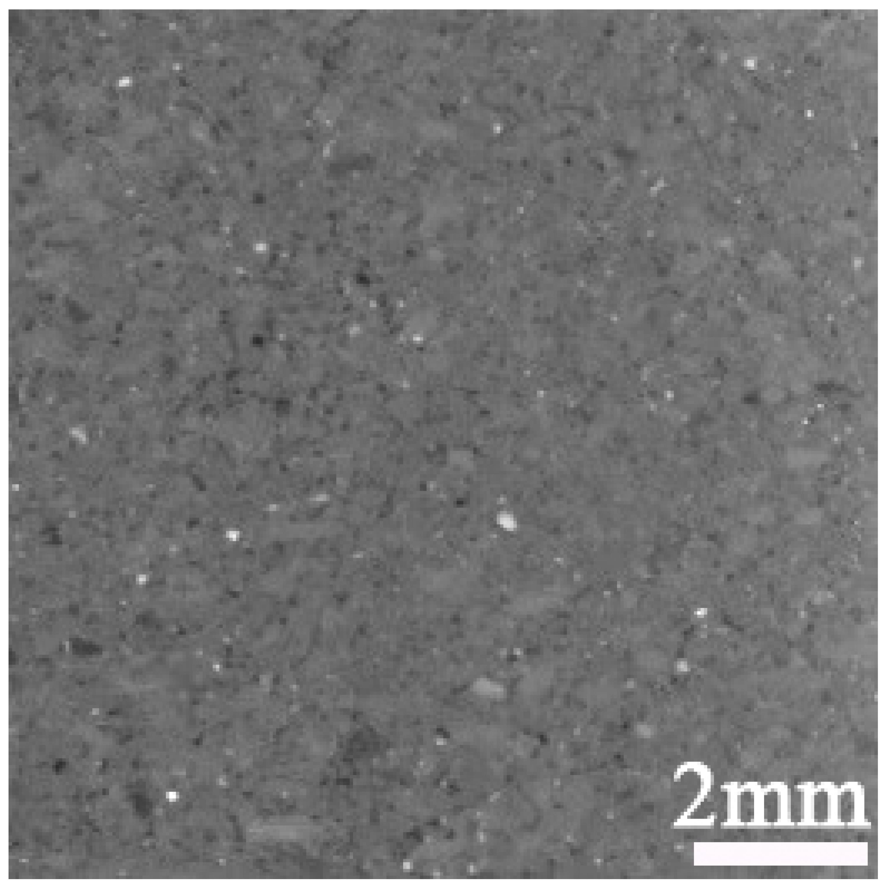 Applsci 15 06205 i011