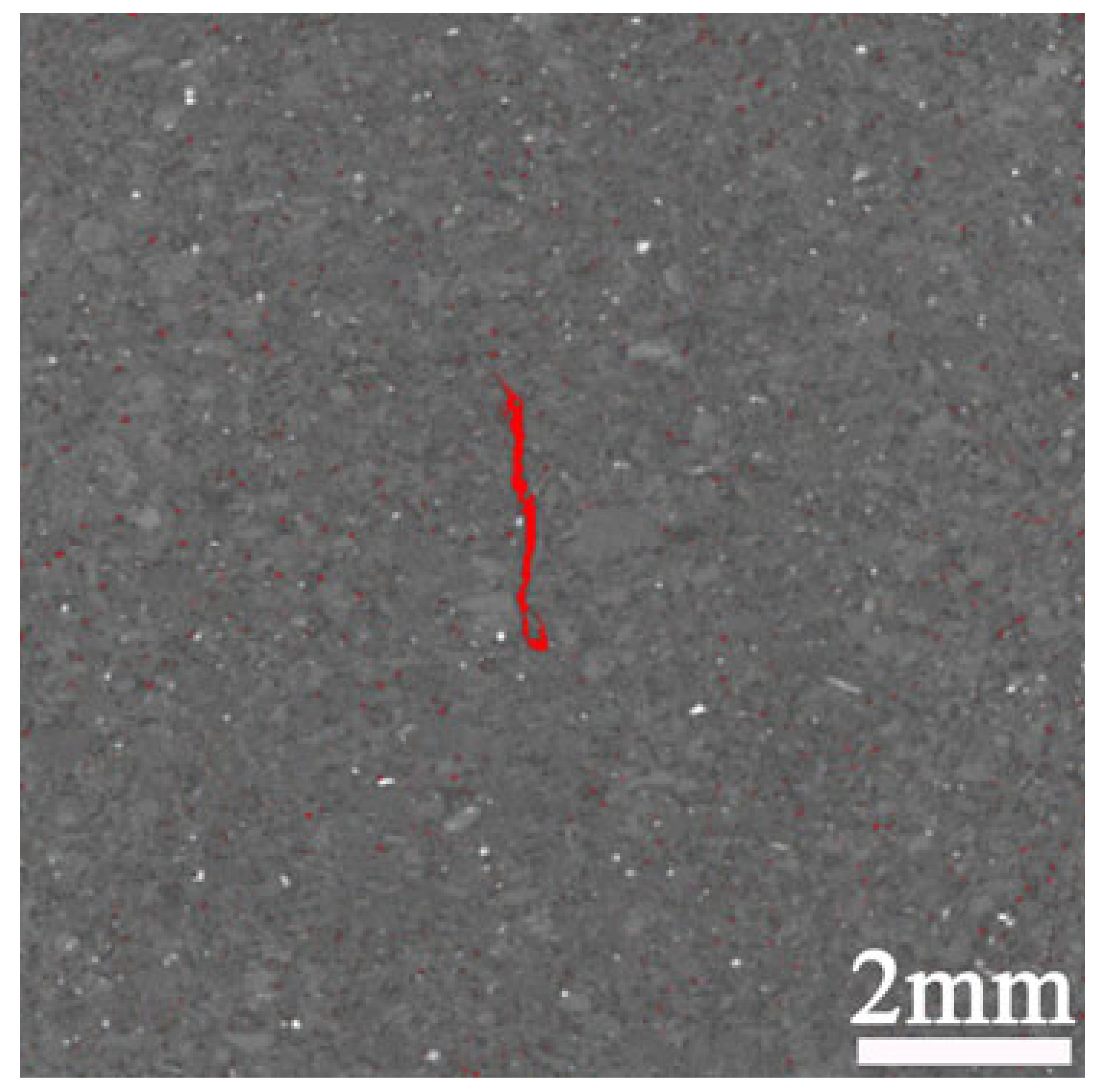 Applsci 15 06205 i013